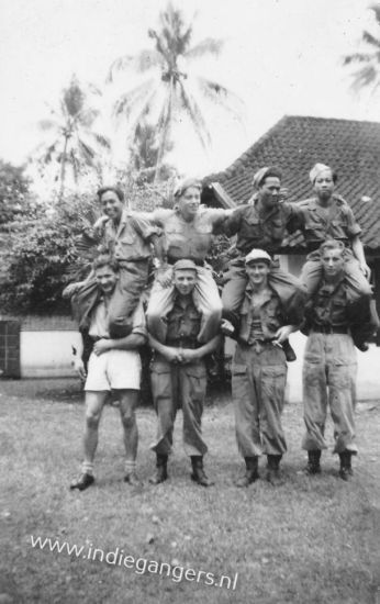 l menselijke paarden groepsfoto